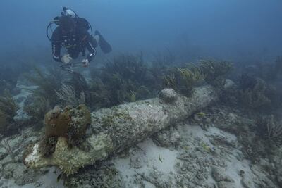 Fotografía cedida por el Servicio de Parques Nacionales (NPS) estadounidense donde aparece uno de sus buzos mientras documenta uno de los cinco cañones con incrustaciones de coral encontrados durante un reciente estudio arqueológico en el Parque Nacional Dry Tortugas en los Cayos de la Florida (EE. UU). Arqueólogos identificaron como el 'HMS Tyger' el buque de guerra británico del siglo XVII que encalló y se hundió en 1742 con cientos de marineros a bordo en aguas de lo que ahora es el Parque Nacional Dry Tortugas, en el extremo sur de Florida, informó este viernes el Servicio de Parques Nacionales. EFE/Brett Seymour/NPS /SOLO USO EDITORIAL /NO VENTAS /SOLO DISPONIBLE PARA ILUSTRAR LA NOTICIA QUE ACOMPAÑA /CRÉDITO OBLIGATORIO