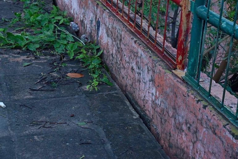 Caminito con hojas y residuos, baranda metálica roja y verde visible, ambiente descuidado y desatendido.