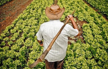 Agricultura Familiar