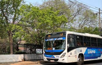 Imagen ilustrativa: unidad de la línea 34 sobre la Avda. Venezuela.