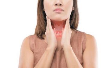 Imagen ilustrativa: la glándula tiroidea (tiroides) se encuentra en la base de la garganta, cerca de la tráquea.