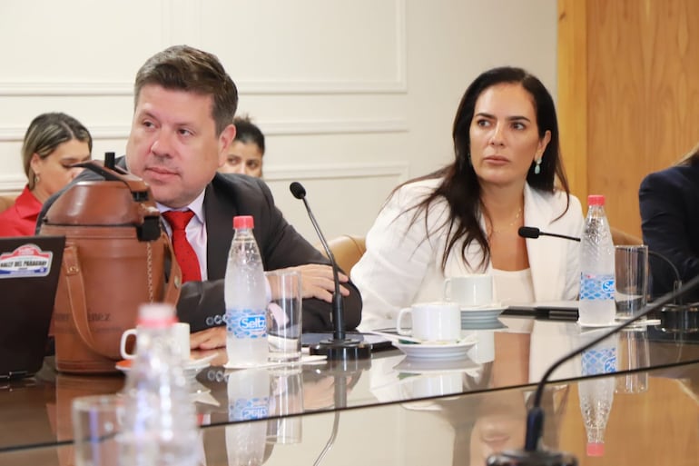 Javier Giménez y Claudia Centurión en la reunión de la Bicameral del Congreso. 