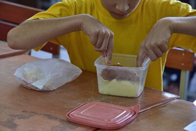 “Hambre cero” arrancaría en agosto en 75 ciudades, dice el MEC.