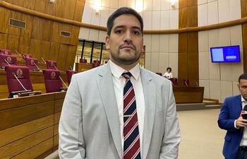 El diputado Mauricio Espínola (ANR-FR).