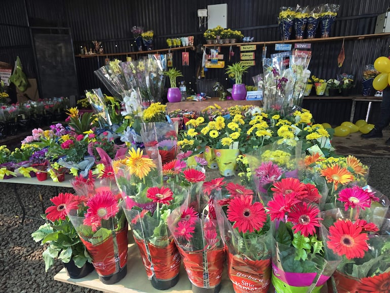 Puesto de flores con gerberas coloridas y globos festivos en un ambiente al aire libre.