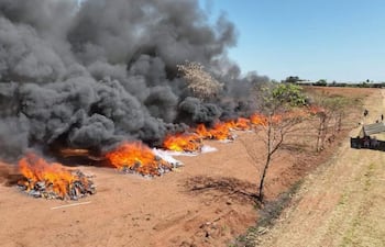 Montones de marihuana en llamas producen humo denso en un entorno árido, con algunas figuras humanas al fondo.