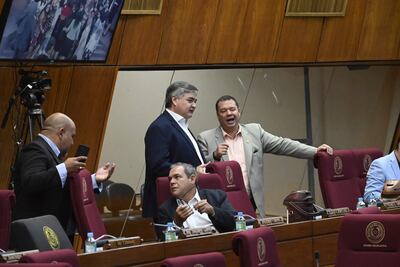 Sesión de la Cámara de Diputados. 