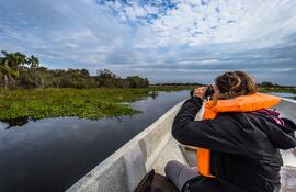 Avistaje de fauna desde la laguna, Colonia Carlos Pellegrini.