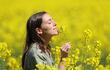 Mujer oliendo flores amarillas en un campo de flores