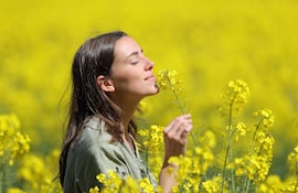 Mujer oliendo flores amarillas en un campo de flores