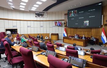 Reunión de la Comisión de Asuntos Constitucionales del Senado. Fuente: Prensa Senado.