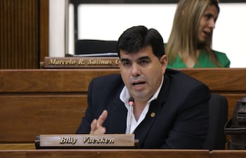 Gentileza Prensa Diputados.