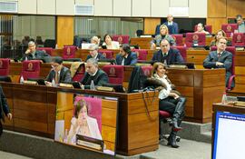 Sector opositor de la Cámara de Senadores. Foto: Gentileza del Senado.