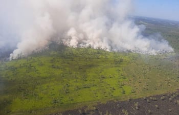 El incendio afecta una vasta zona de al menos 170 hectáreas en la región del Chaco paraguayo, fronterizo con Argentina.