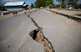 Imagen ilustrativa: cabras caminan junto a una grieta en la carretera en Marapokot, Nagekeo, Nusa Tenggara Oriental, Indonesia, tras un terremoto.