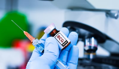Un ensayo preclínico apoya el potencial de la vacuna de la tuberculosis para la demencia.