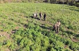 Agentes en uniformes de la SENAD discuten en un campo verde marcado con un cartel de la Secretaría Nacional Antidrogas.