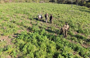 Agentes en uniformes de la SENAD discuten en un campo verde marcado con un cartel de la Secretaría Nacional Antidrogas.