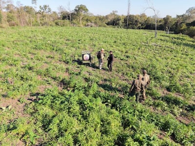 Agentes en uniformes de la SENAD discuten en un campo verde marcado con un cartel de la Secretaría Nacional Antidrogas.