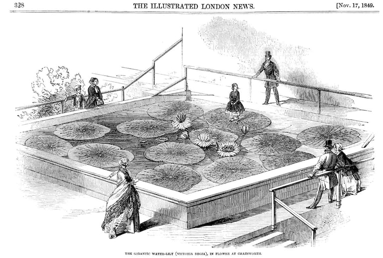 Ilustración del London News del 17 de noviembre de 1849. Sobre la hoja se ve a la hija de Paxton, Annie.