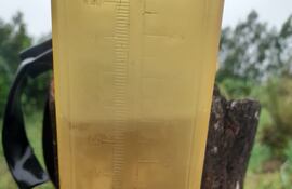 En el distrito de Ybytymí se registraron 80 mm de lluvia. Las precipitaciones benefician a la producción agrícola y ganadera.