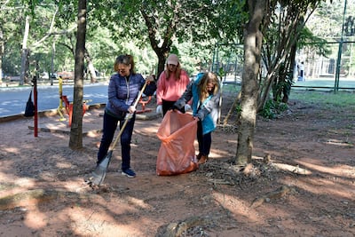 Limpieza del Parque Carlos A. López