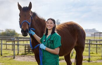 Veterinario.