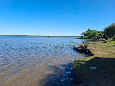Río Paraná afectados por algas en zona de Ayolas.