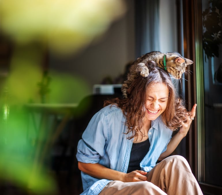Vínculo humano-gato.