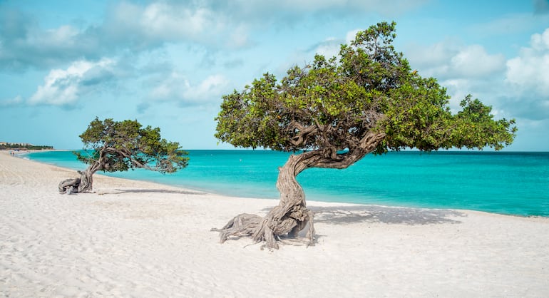 Eagle Beach (Aruba).