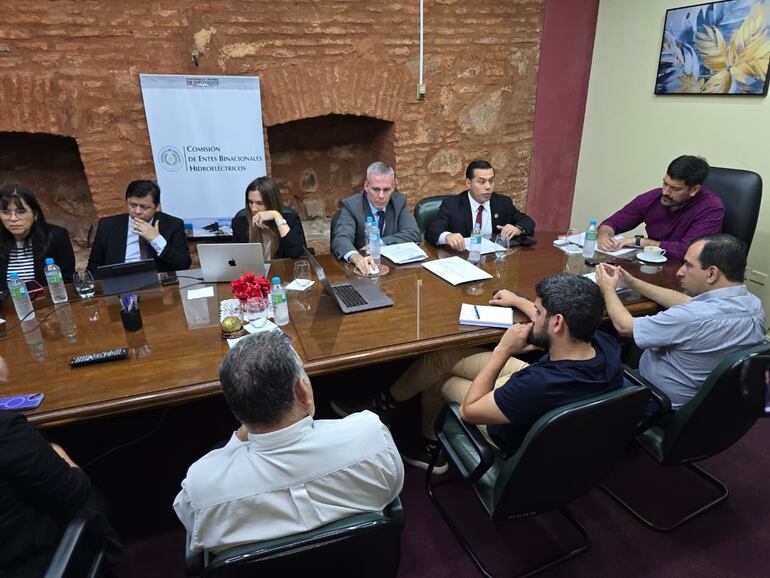 Diputados instan al Gobierno a usar fondos de Itaipú y evitar “tarifazo” de ANDE