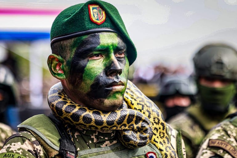 Soldado con uniforme camuflado y boina verde, lleva una serpiente en el cuello durante el desfile militar.