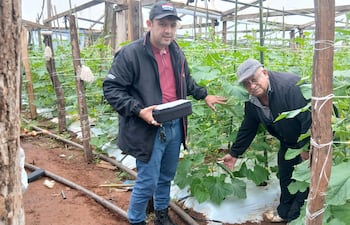 Hombres en invernadero: uno de pie con gorra negra y chaqueta, el otro arrodillado junto a una planta. Ambiente de cultivo.