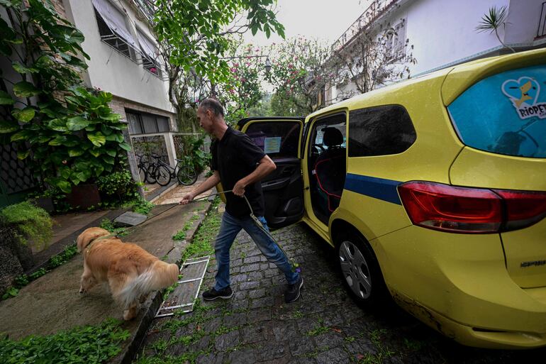 El chofer canino Walace Rodrigues transporta a su pasajero Oswaldo, un golden retriever, a su casa en el barrio de Jardín Botánico.