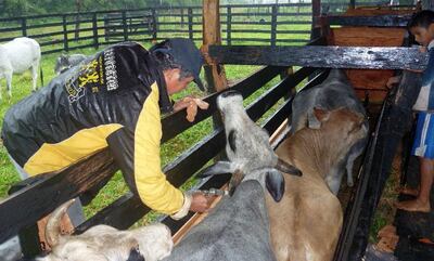 /pf/resources/images/abc-placeholder.png?d=2393