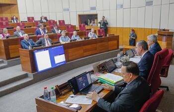 Sesión de Comisiones con Enrique Riera, en el Senado. (Foto: Prensa Senado)