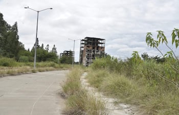 Paisaje urbano deteriorado con edificios en ruinas y vegetación descontrolada, sin personas visibles y cielo nublado.