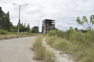 Paisaje urbano deteriorado con edificios en ruinas y vegetación descontrolada, sin personas visibles y cielo nublado.