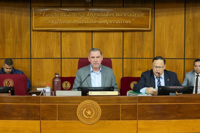 Reunión de la Comisión de Asuntos Constitucionales del Senado. Fuente: Prensa Senado.