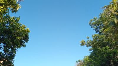 Cielo despejado en Asunción y Central.