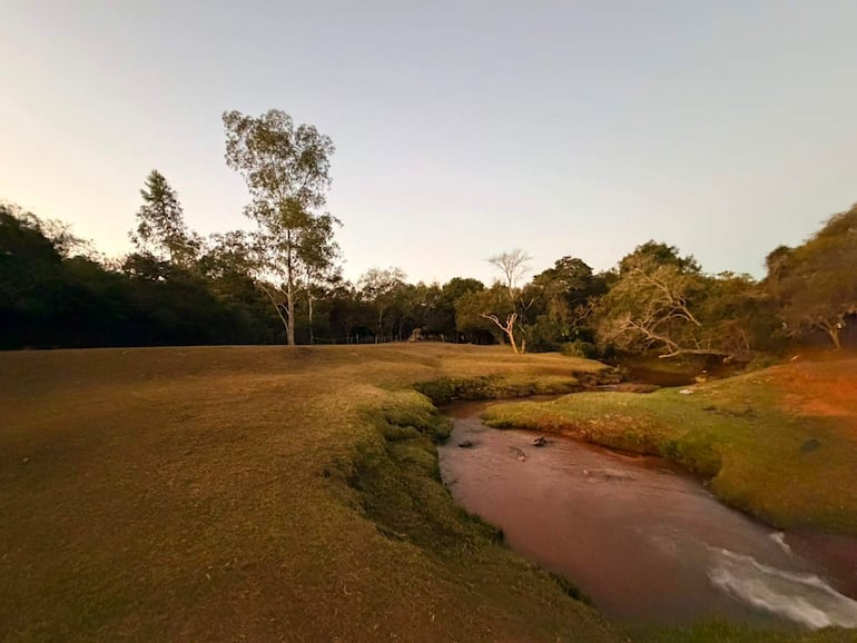 Paisaje natural sereno con vegetación abundante y un arroyo, sin presencia de personas o estructuras humanas.
