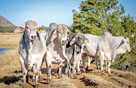 US$ 3.112 millones en valor FOB