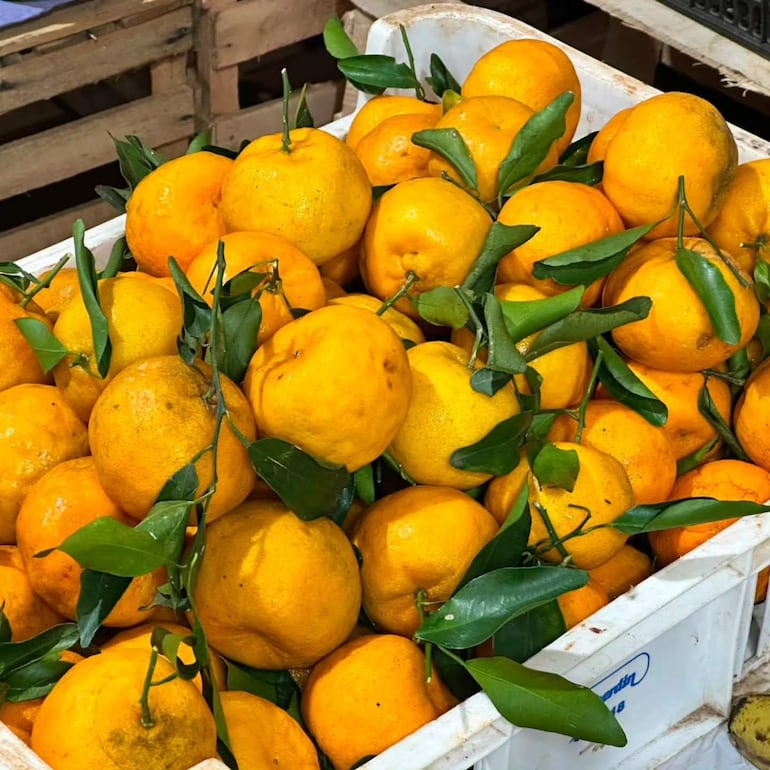 Día de la fruta