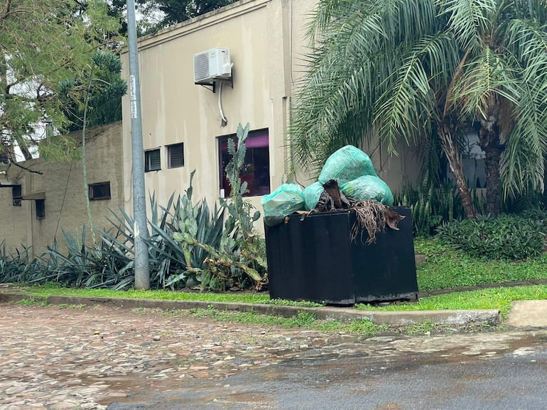 Contenedor de basura negro en la acera, rodeado de plantas, con pavimento mojado y un edificio al fondo.