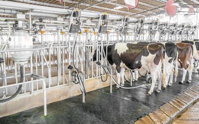 Salto de la industria láctea y nuevos horizontes