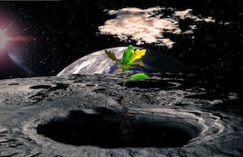 Concepto de agricultura en el espacio.