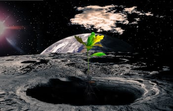 Concepto de agricultura en el espacio.