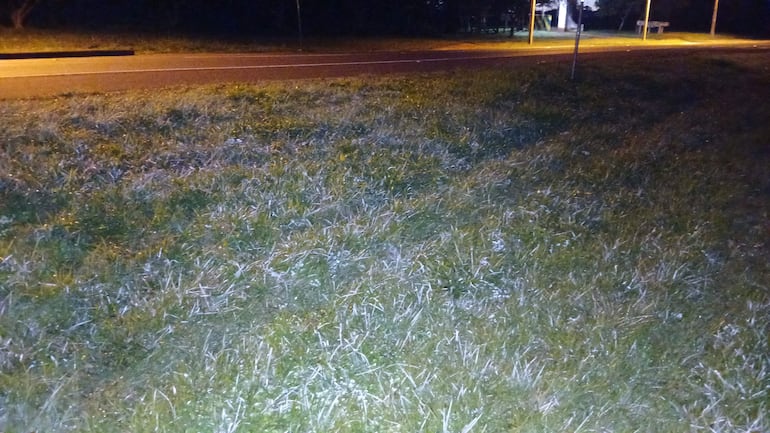MAG advierten sobre heladas en Paraguay: zonas afectadas y recomendaciones - Nacionales