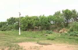 Plaza Pesoa en completo estado de abandono.