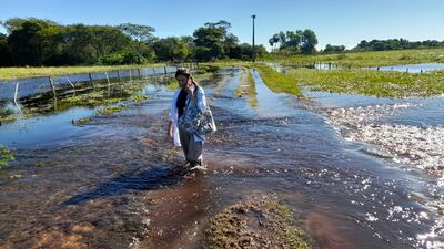 Esta es la realidad de los caminos en el departamento de Ñeembucú, cada vez que llegan las lluvias.